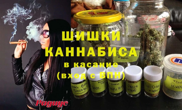 стафф Кулебаки