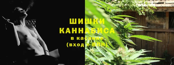 молекула духа Куйбышев