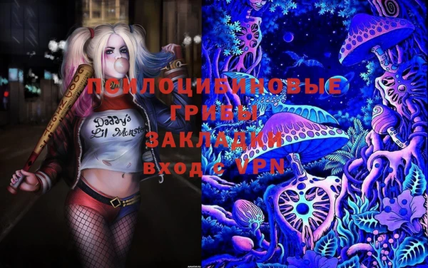 стафф Кулебаки