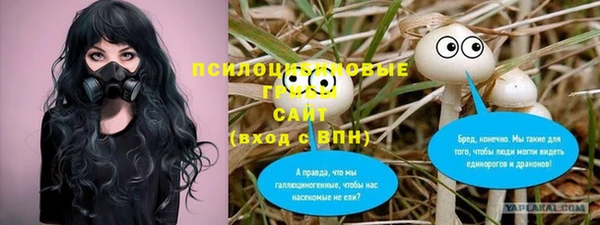 молекула духа Куйбышев